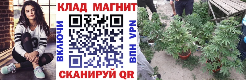 Виды наркотиков купить Белово MEGA как зайти  Меф  Cocaine 