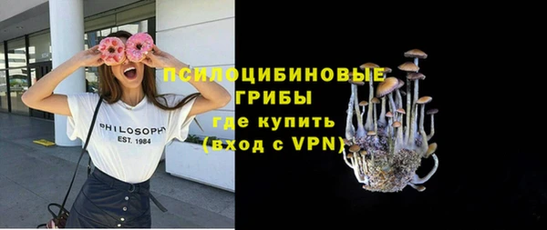 хмурый Покачи