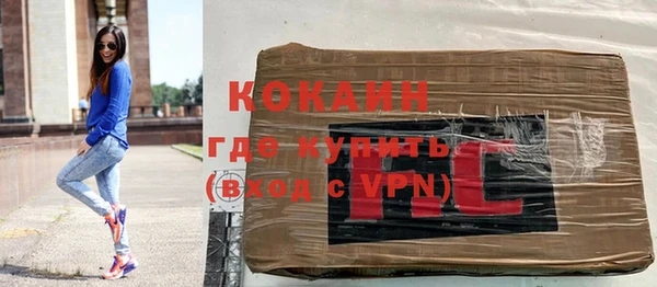 хмурый Покачи