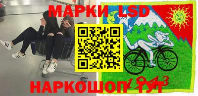 стаф Аргун