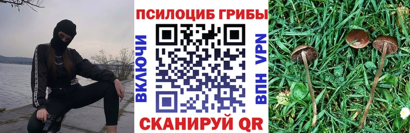 MEGA онион  Белово  Галлюциногенные грибы Psilocybine cubensis 
