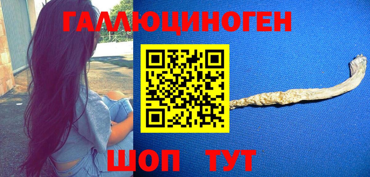 Белово  Псилоцибиновые грибы GOLDEN TEACHER  Вход с VPN 