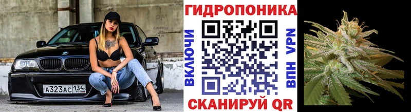 Бошки Шишки сатива  Белово 